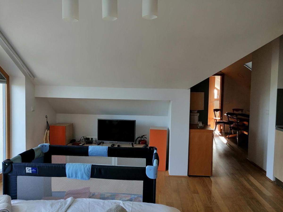 Guest House Eco Vila Mila Рогашка Слатина Экстерьер фото