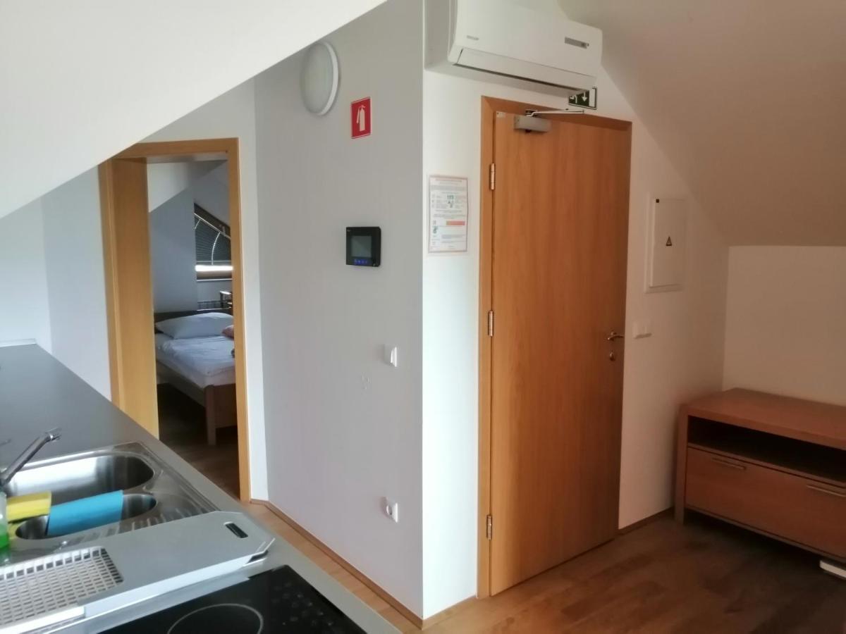 Guest House Eco Vila Mila Рогашка Слатина Экстерьер фото