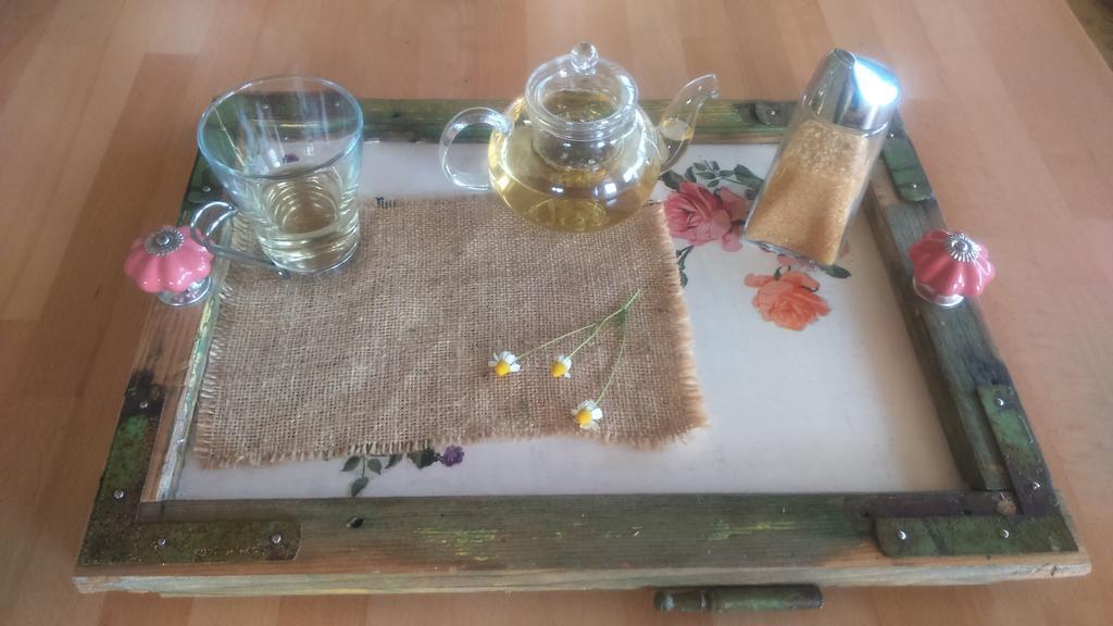 Guest House Eco Vila Mila Рогашка Слатина Экстерьер фото