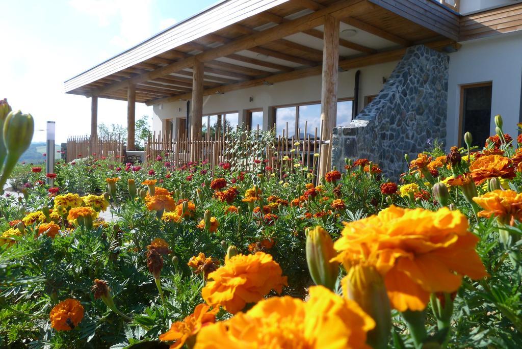 Guest House Eco Vila Mila Рогашка Слатина Экстерьер фото