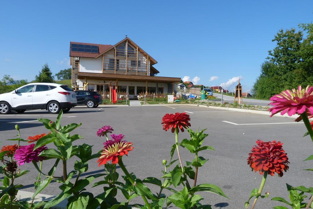 Guest House Eco Vila Mila Рогашка Слатина Экстерьер фото