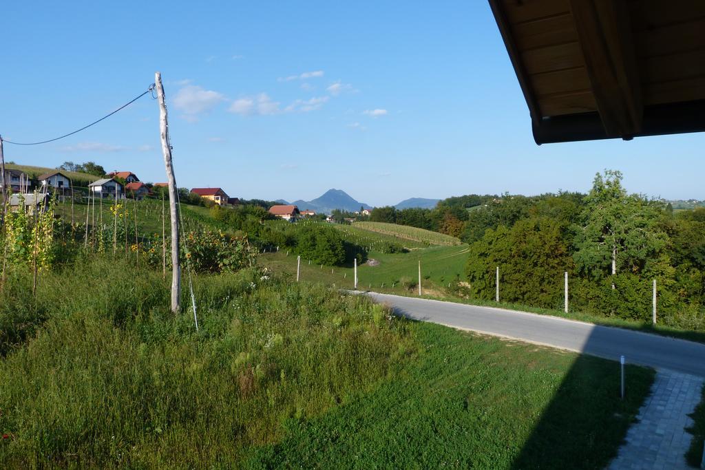 Guest House Eco Vila Mila Рогашка Слатина Экстерьер фото